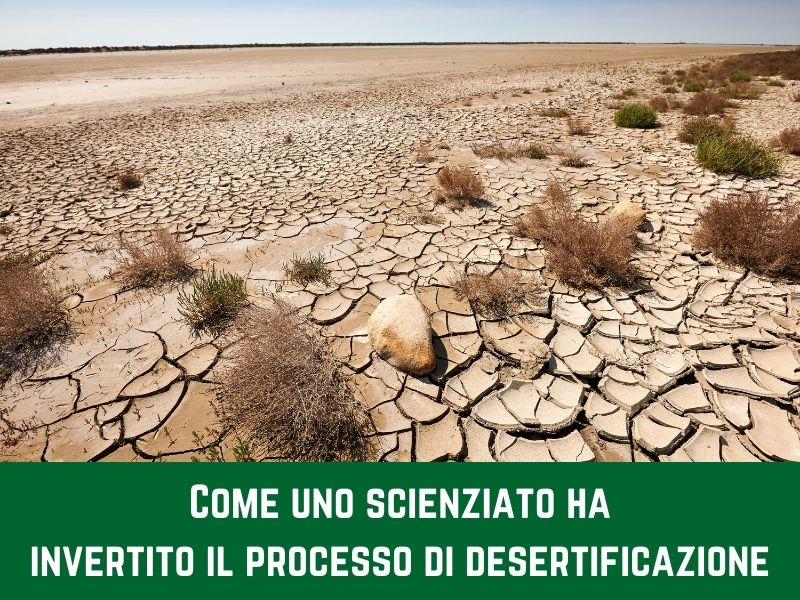 La tragedia della desertificazione causata dall’agricoltura selvaggia (e come invertire il processo per salvare il mondo)